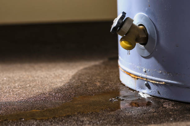 Best Flood restoration services  in Plainville, KS