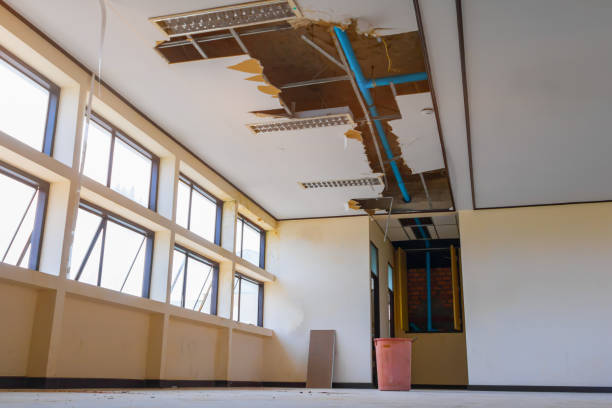 Plainville, KS Water damage restoration Company