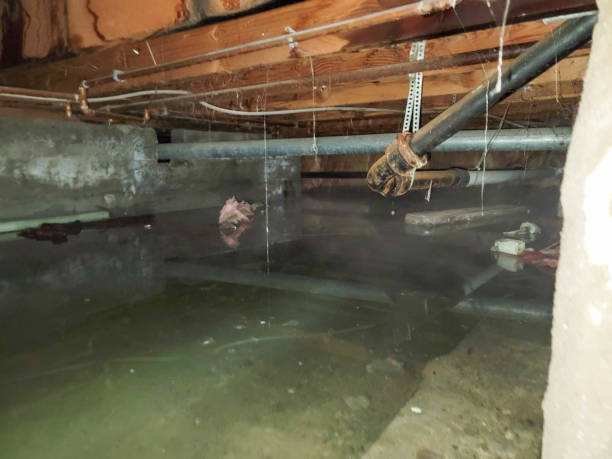 Water damage restoration experts in Plainville, KS