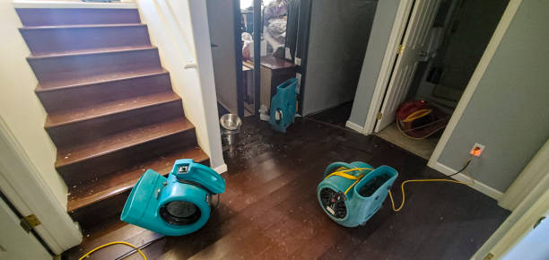 Best Residential water damage restoration  in Plainville, KS