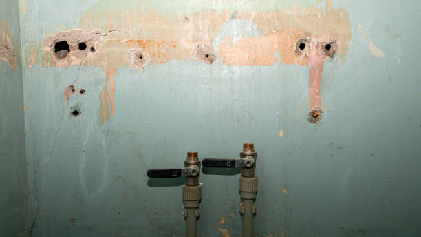 Best Ceiling water damage repair  in Plainville, KS
