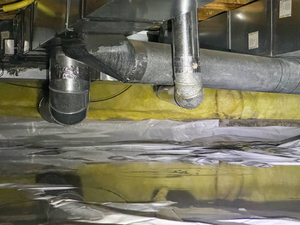 Best Flood restoration services  in Plainville, KS